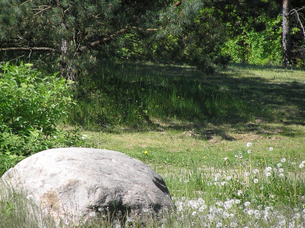 Wymoj Park Lägenhet Stawiguda Exteriör bild
